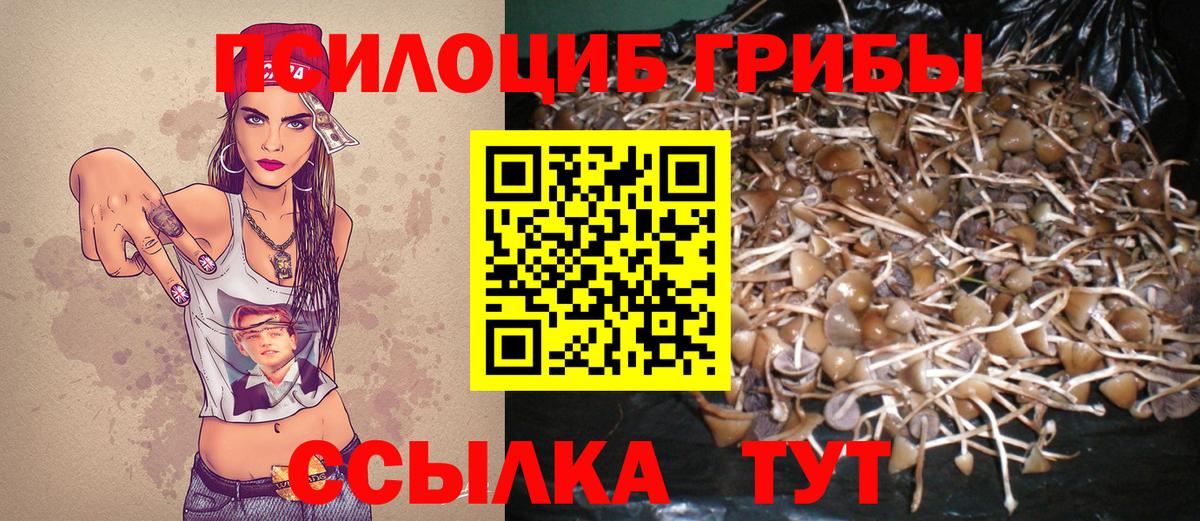 Ейск  Галлюциногенные грибы GOLDEN TEACHER  Вход с VPN  Галлюциногенные грибы GOLDEN TEACHER 