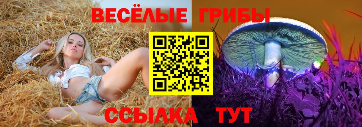 Галлюциногенные грибы ЛСД Ейск